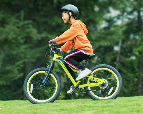 Bicicleta de la escuela primaria Xiaomi